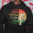 Best Papaw By Par Fathers Gifts Golf Lover Golfer Hoodie Unique Gifts