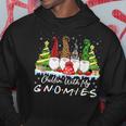 Chillin With My Gnomies Christmas Family Friend Gnomes Hoodie Personalized Gifts