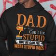 Dad Cant Fix Stupid But He Can Fix What Stupid Does Hoodie Unique Gifts