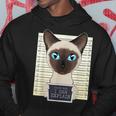 Dear Dad I Can Explain I Siamese Cat Dad I Siamese Cat Hoodie Unique Gifts
