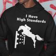 Eventing I Have High Standards Hunter Jumper English Riding Hoodie Unique Gifts