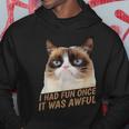 I Had Fun Once It Was Awful-Grumpy Cat-Face Hoodie Personalized Gifts
