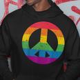 Gay Pride Lgbtq Peace Love 60S 70S Groovy Hippie Hoodie Unique Gifts