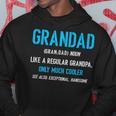 Grandad Gift Like A Regular Funny Definition Much Cooler Hoodie Unique Gifts