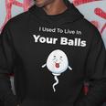 I Used To Live In Your Balls Funny Silly Fathers Day Hoodie Unique Gifts