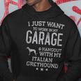 Italian Greyhound Dad Car Garage Hangout Men Hoodie Unique Gifts