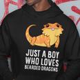 Just A Boy Who Loves Bearded Dragons Hoodie Unique Gifts