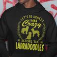 Lets Be Honest I Was Crazy Before Labradoodles Hoodie Unique Gifts