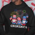 Merica Gnome 4Th Of July Funny Patriotic Gnomes American Usa Hoodie Unique Gifts