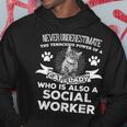 Never Underestimate Power Of A Social Worker Cat Lover Hoodie Funny Gifts