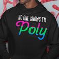 No One Knows Im Poly Polysexual Pride Flag Lesbian Gay Hoodie Unique Gifts