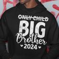 Only Child Crossed Out Big Brother 2024 Pregnancy Announce Hoodie Unique Gifts