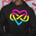 Pan Poly Proud Polyamory Pride Infinity Symbol Pansexual Hoodie Unique Gifts