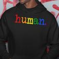 Pride Ally Human Lgbtq Equality Bi Bisexual Trans Queer Gay Hoodie Unique Gifts
