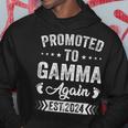 Promoted To Gamma Again Est 2024 Announcement Hoodie Unique Gifts