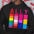 Proud Ally Pride Rainbow Lgbt Ally Hoodie Funny Gifts
