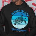 Sea Turtle Bimini Island Bahamas Ocean Hoodie Funny Gifts