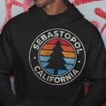 Sebastopol California Ca Vintage Graphic Retro 70S Hoodie Unique Gifts