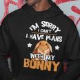 Sorry I Have Plans Rabbit Lover Bunny Owner Zookeeper Hoodie Unique Gifts