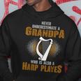 Never Underestimate Grandpa Who Is Also A Harp Player Hoodie Unique Gifts