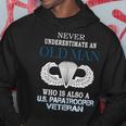 Never Underestimate Us Paratrooper Veteran Father's Day Xmas Hoodie Funny Gifts