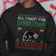 All I Want For Christmas Is A Raccoon Ugly Sweater Hoodie Funny Gifts