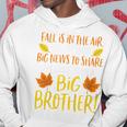 Kids Big Brother Fall Pregnancy Announcement Autumn Baby 2 Hoodie Unique Gifts