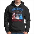 America 4Th Of July Guinea Pig Fireworks Independence Day Hoodie