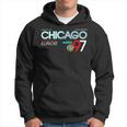 Chicago City Flag Downtown Skyline Chicago 3 Hoodie
