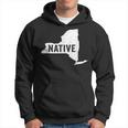 Native New Yorker Patriotic American Born Usa New York Love Hoodie