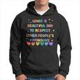 What A Beautiful Day To Respect Other Peoples Pronouns Lgbt Hoodie
