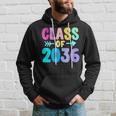 Class Of 2036 Graduation Grow With Me Hoodie Gifts for Him