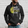 Softball Best Bonus Dad Coach Ever Retro Funny Fathers Day Hoodie Gifts for Him