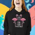 I Dont Give A Flying Flock Im Retired Pun Funny Flamingo Women Hoodie Gifts for Her