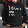 Best Bridoodle Dad Ever Sweatshirt Gifts for Old Men