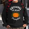 Growing A Little Pumpkin Thanksgiving Pregnancy Sweatshirt Gifts for Old Men