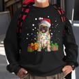 Pug Christmas Tree Lights Santa Dog Xmas Boys Pugmas Sweatshirt Gifts for Old Men