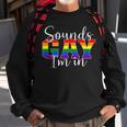 Sounds Gay Im In Lgbt Pride Gifts Lgbtq Flag Gay Pride Month Sweatshirt Gifts for Old Men