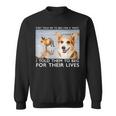 Beg For Their Lives Psycho Corgi Beach Graphic Sweatshirt