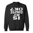 Is My Chute Ok Skydiving Sweatshirt