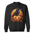 Crow Bird On Pumpkin Crow And Jack O Lantern Halloween Party Sweatshirt