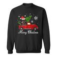 Dachshund Dog Riding Red Truck Christmas Decorations Pajama Sweatshirt