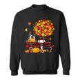 Dog Border Collie Three Border Collies On Pickup Truck Thanksgiving Fall Tree Sweatshirt