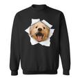 Dog Lover Cute Golden Retriever Jumping Sweatshirt