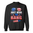 Funny 4Th Of July Im Just Here To Bang Usa Flag Sunglasses 1 Sweatshirt