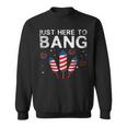 Funny Fireworks 4Th Of July S Just Here To Bang Sweatshirt