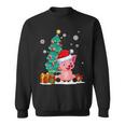 Pig Lovers Cute Pig Santa Hat Ugly Christmas Sweater Sweatshirt