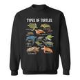 Turtle Lover Turtle Art Types Turtle Turtle Sweatshirt