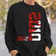 13 Years 13Th Birthday Limited Edition 2010 Sweatshirt Gifts for Him