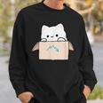 Coworker Pet Swagazon Associate Cute Cat In Cardboard Box Sweatshirt Gifts for Him